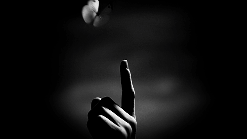 Butterfly effect